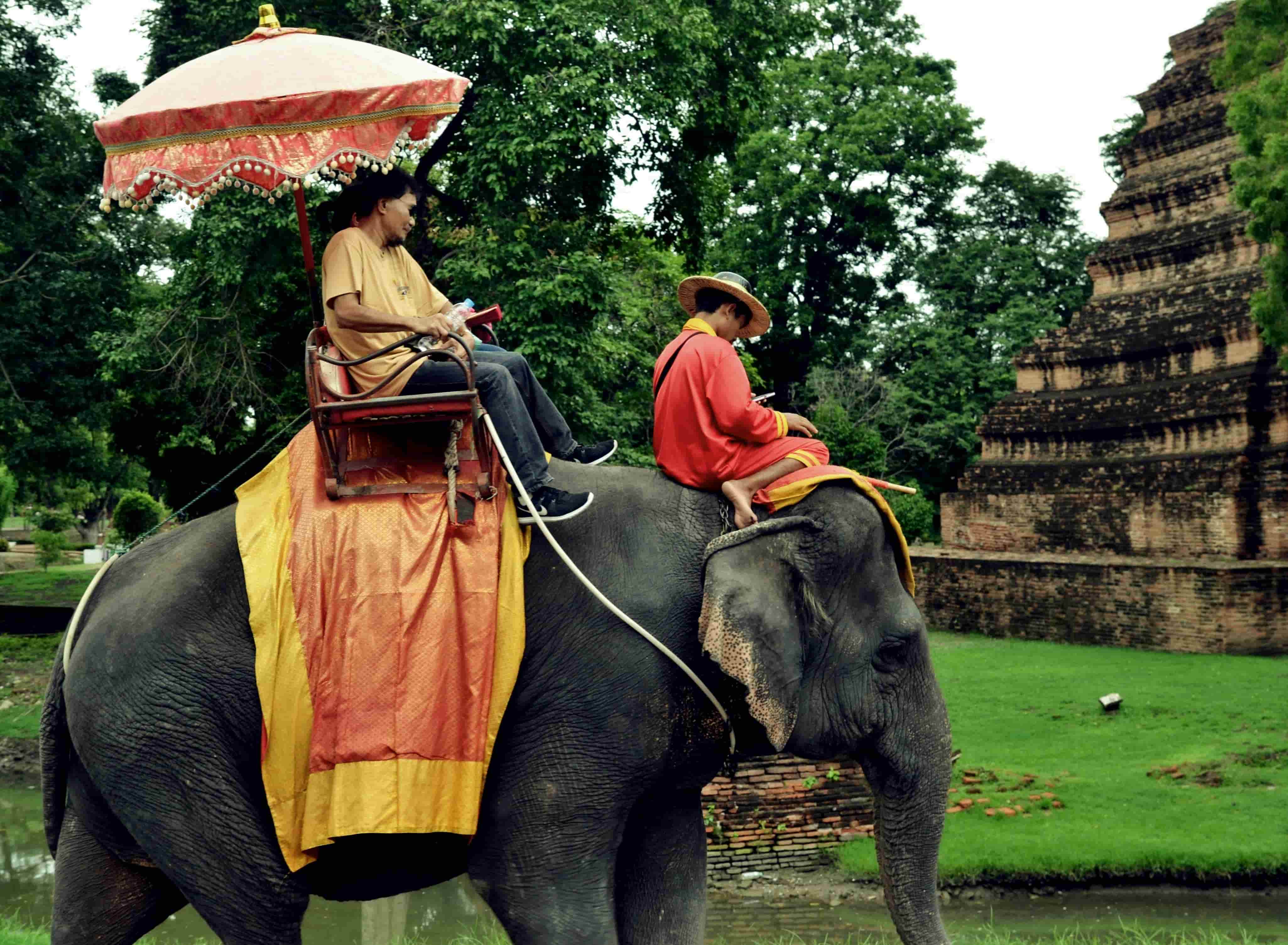elephant rider in South East Asia