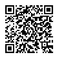 DAN Partner QR code